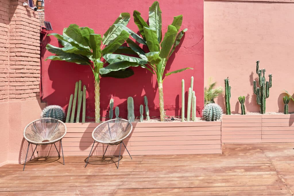 Terrasse accueil