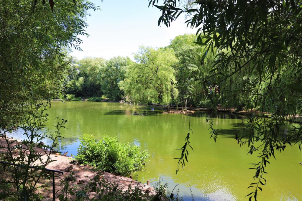 parc de la lawe 1