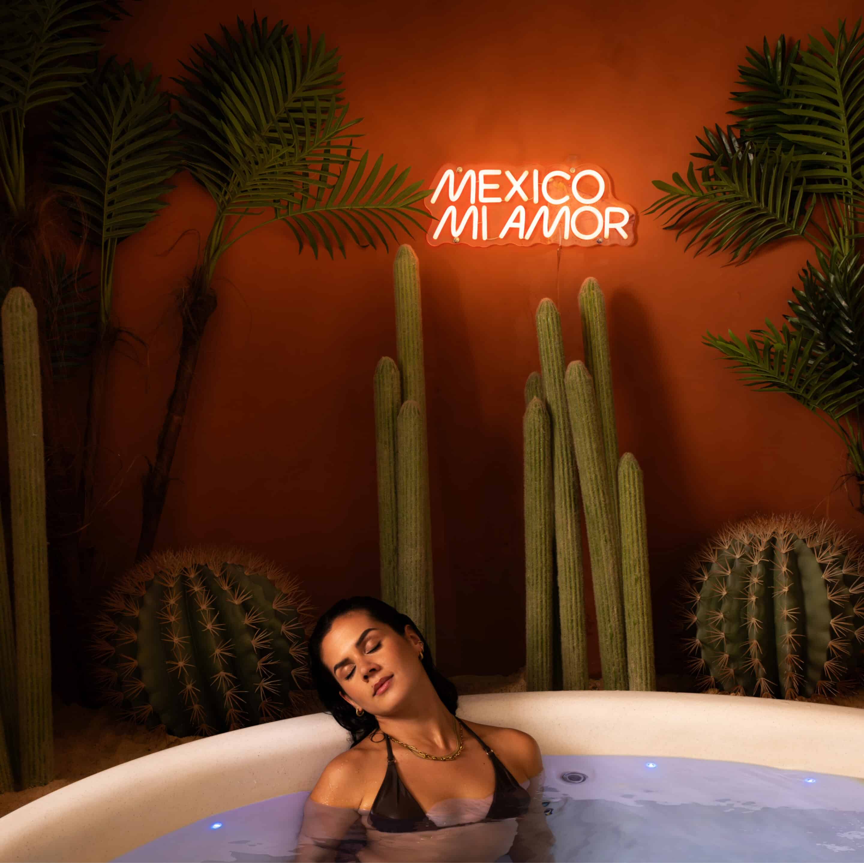Jacuzzi privatif